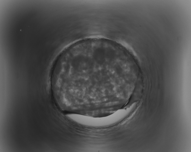 X0000088481167200706191401