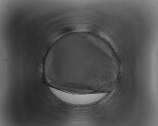 X0000088481169200706191401