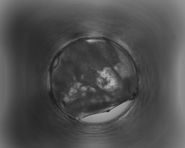 X0000088481171200706191401