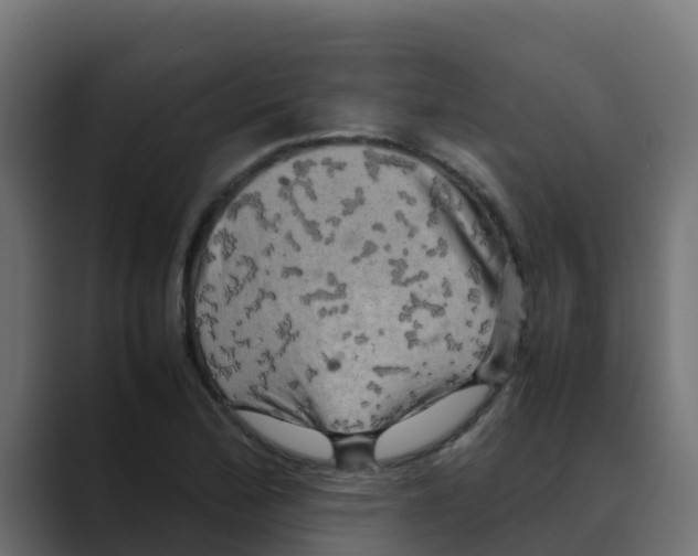 X0000088481172200706191401