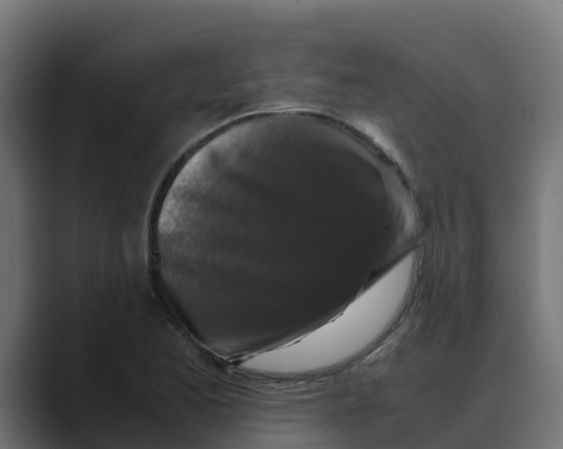 X0000088481173200706191401