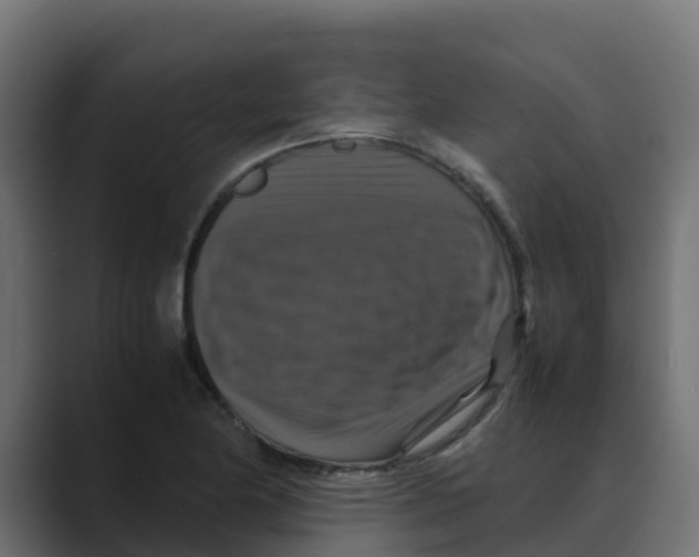 X0000088481174200706191401