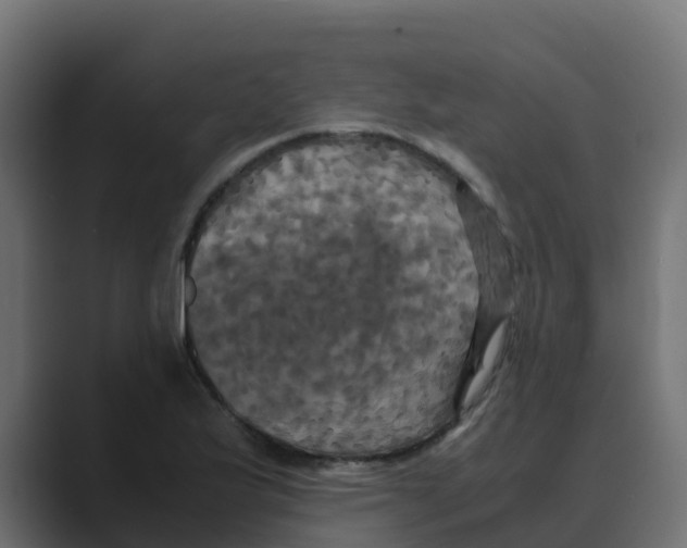 X0000088481175200706191401