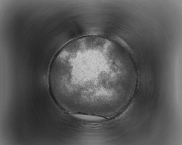 X0000088481178200706191401