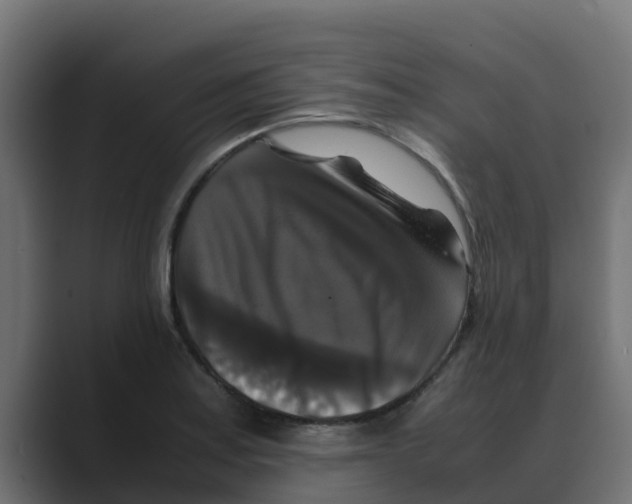 X0000088481179200706191401