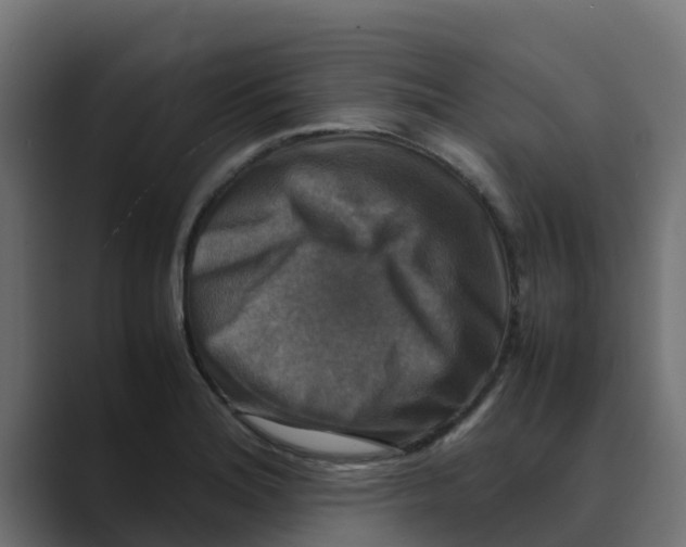 X0000088481180200706191401