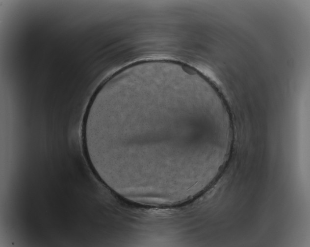 X0000088481181200706191401