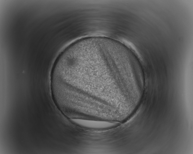 X0000088481184200706191401