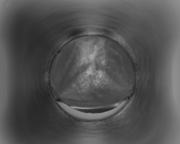 X0000088481185200706191401