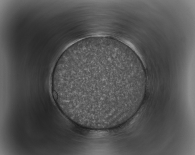 X0000088481187200706191401