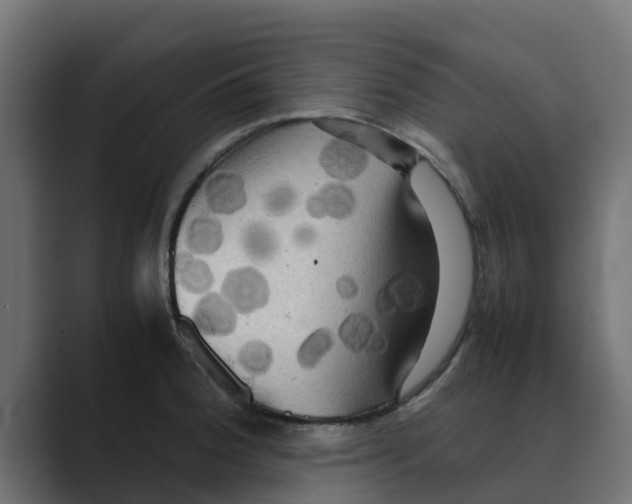 X0000088481188200706191401