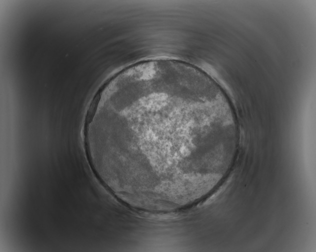 X0000088481189200706191401