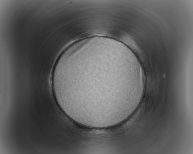 X0000088481190200706191401