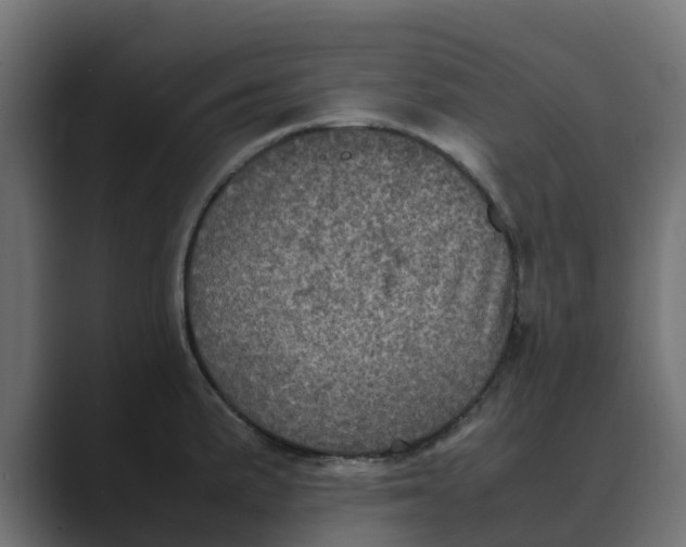 X0000088481191200706191401