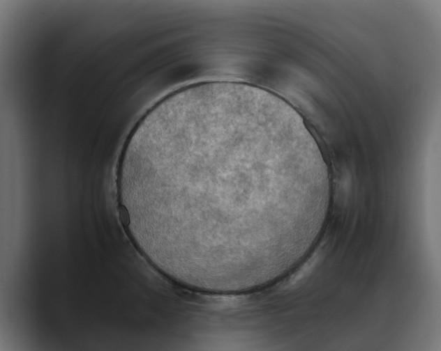 X0000088481192200706191401