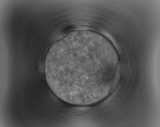 X0000088481193200706191401