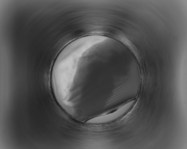 X0000088481194200706191401