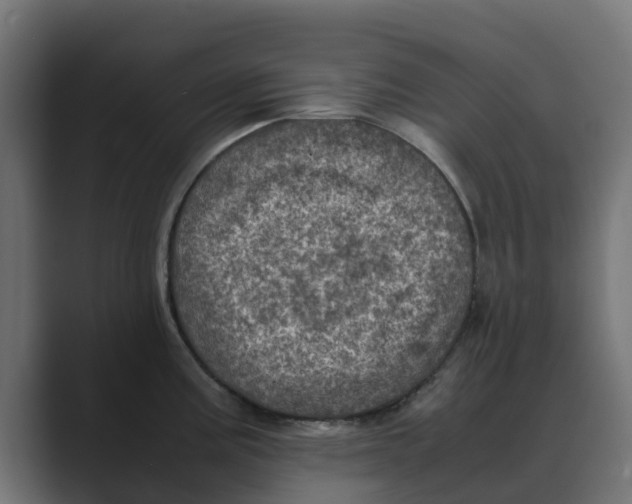 X0000088481195200706191401