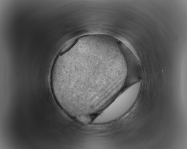 X0000088481197200706191401