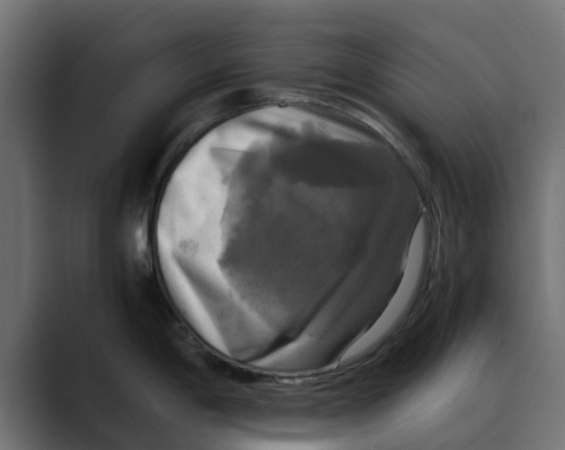 X0000088481198200706191401