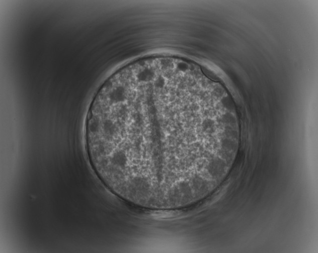 X0000088481199200706191401