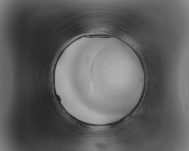 X0000088481200200706191401