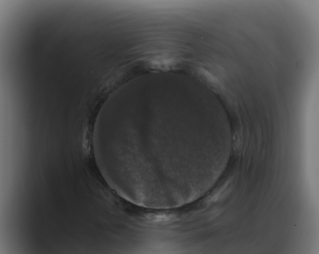 X0000088481202200706191400