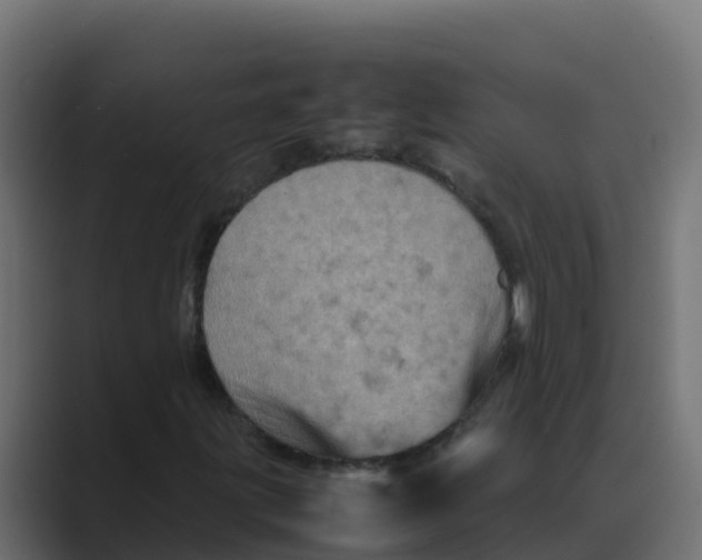 X0000088481203200706191400