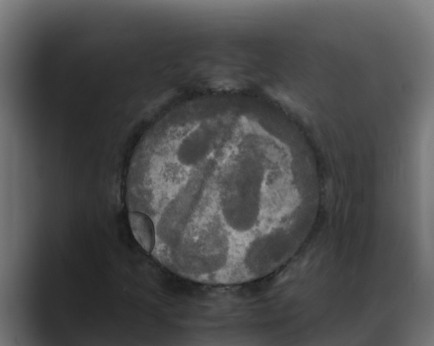 X0000088481205200706191400