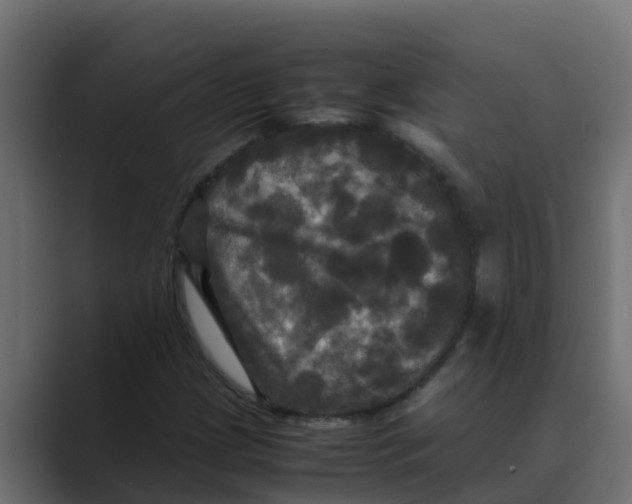 X0000088481209200706191400