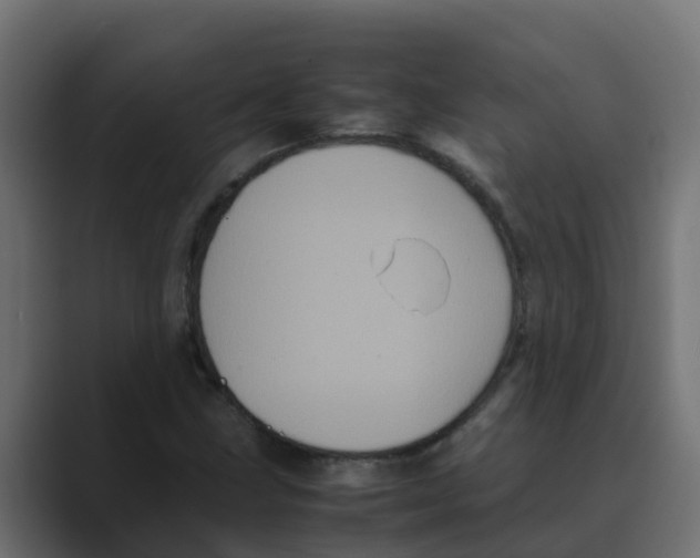 X0000088481211200706191400