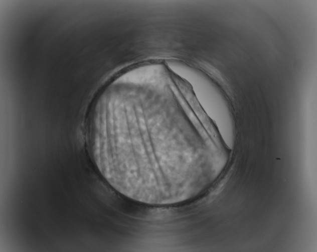 X0000088481212200706191400