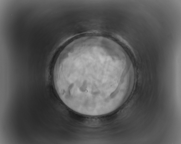 X0000088481215200706191400