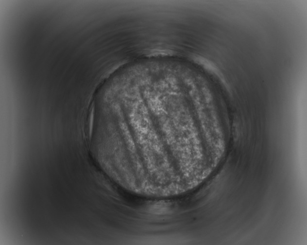 X0000088481217200706191400