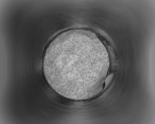 X0000088481220200706191400