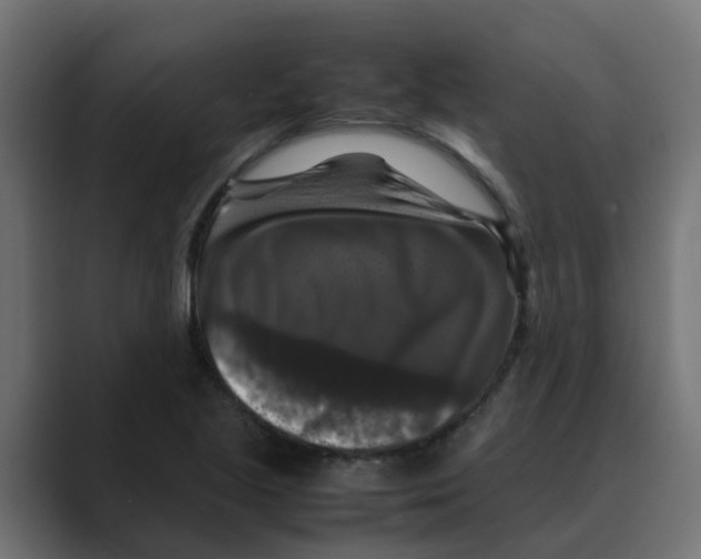 X0000088481221200706191401