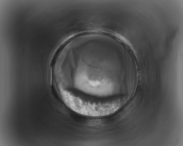 X0000088481223200706191401