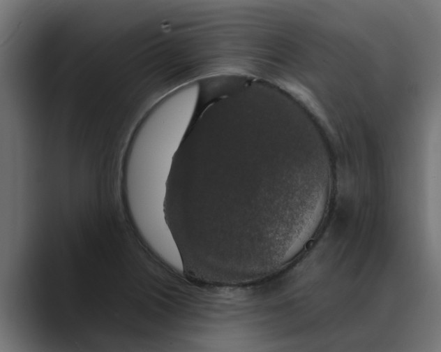 X0000088481226200706191401