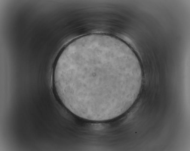 X0000088481227200706191401