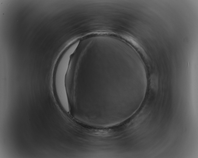 X0000088481229200706191401