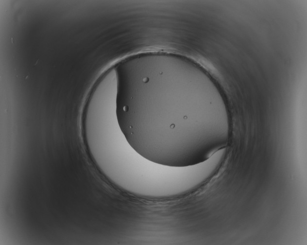 X0000088481230200706191401