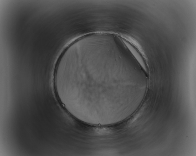 X0000088481231200706191401