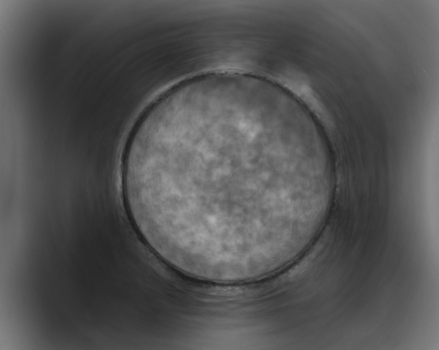 X0000088481232200706191401