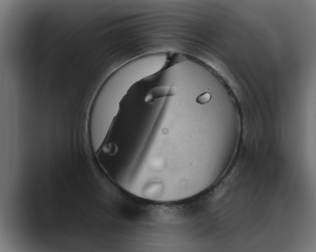 X0000088481234200706191401