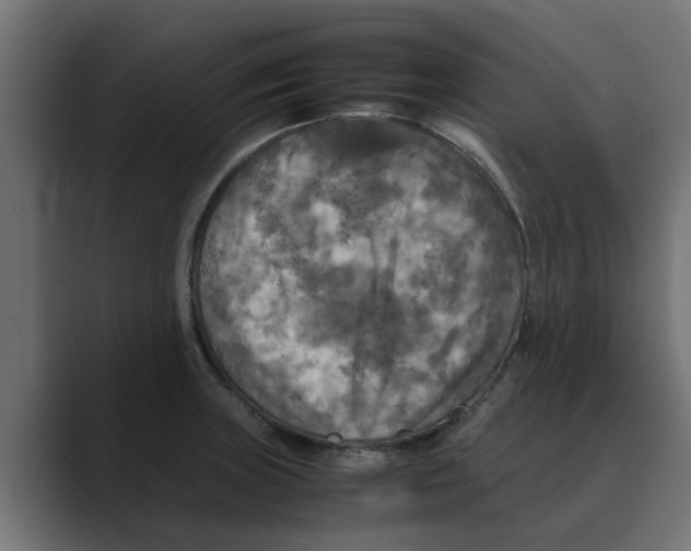 X0000088481235200706191401