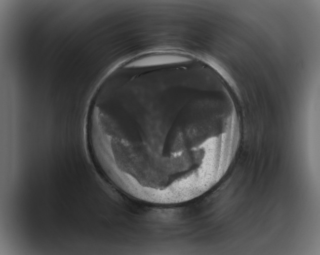 X0000088481237200706191401