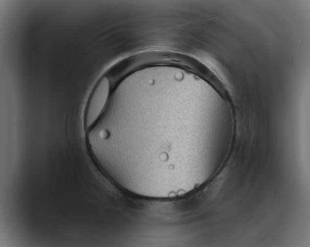 X0000088481238200706191401