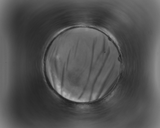 X0000088481239200706191401