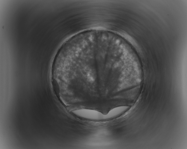 X0000088481240200706191401