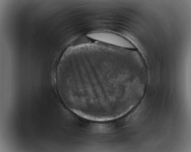 X0000088481241200706191401